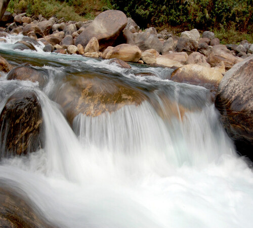 Scenic Beauty of Dooars