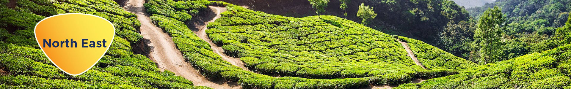 Sikkim